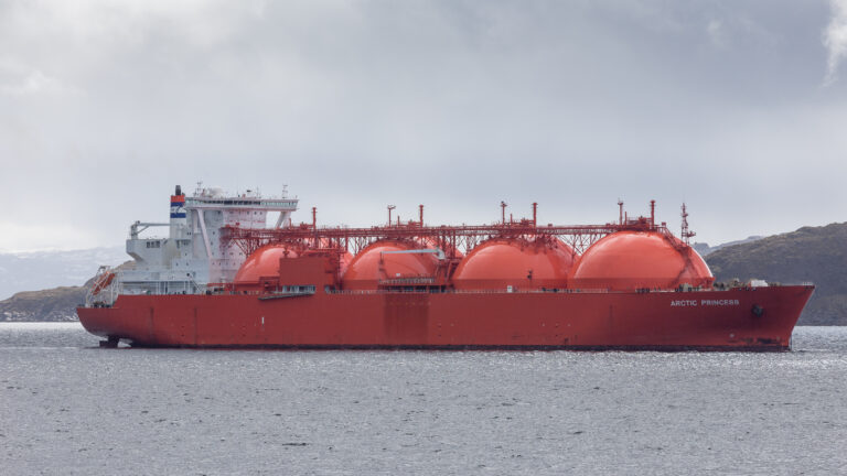 LNG-Terminal WHV – Biozideinleitung sofort stoppen